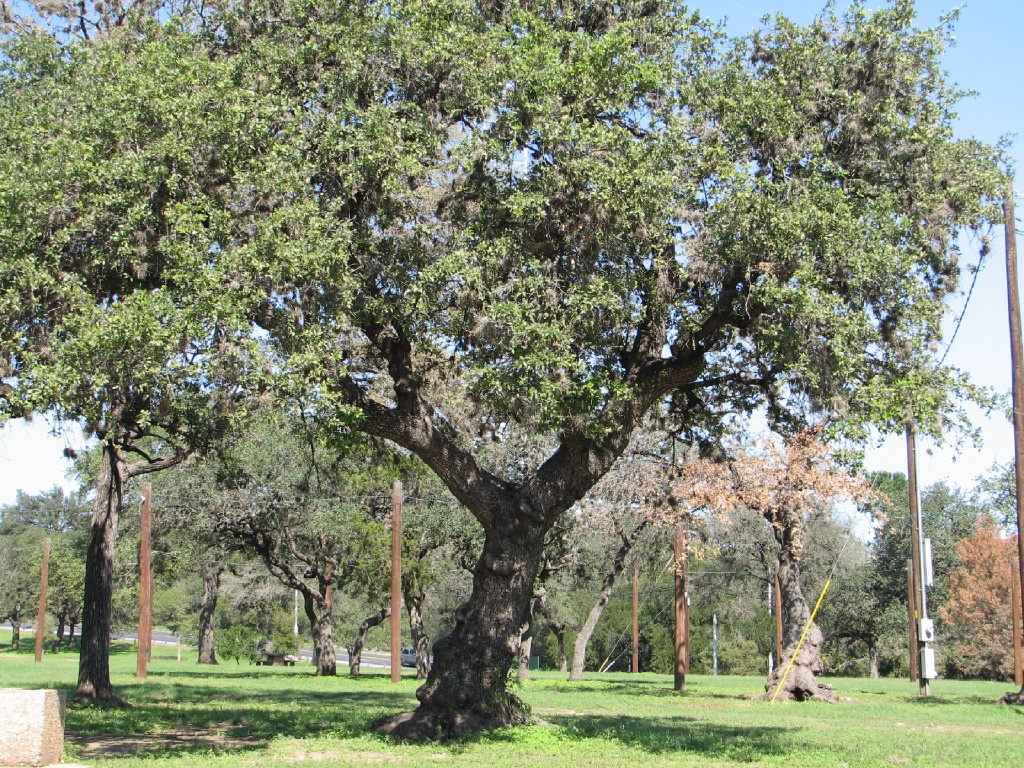 20100206 550.JPG